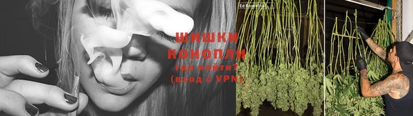 мет Богданович