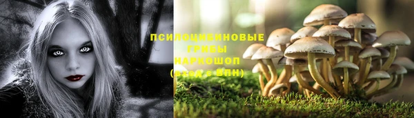 MDMA Беломорск
