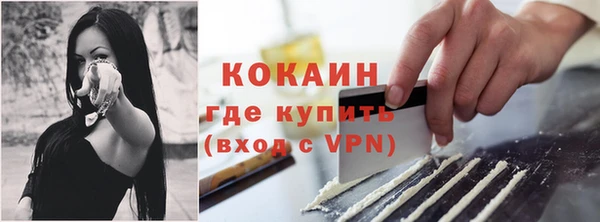 mdpv Богородицк