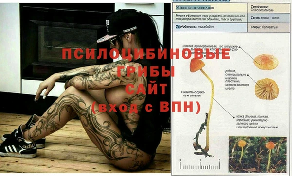 прущий лед Богородск