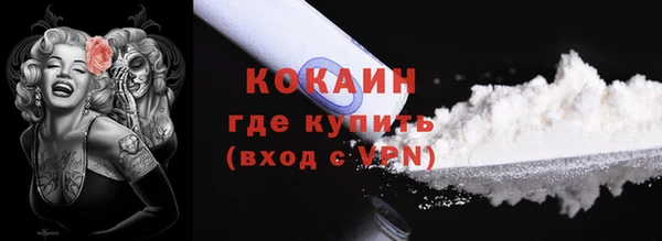mdpv Богородицк