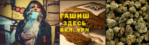 mdpv Богородицк