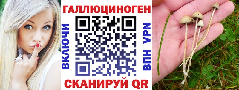 Псилоцибиновые грибы Magic Shrooms  Олёкминск 